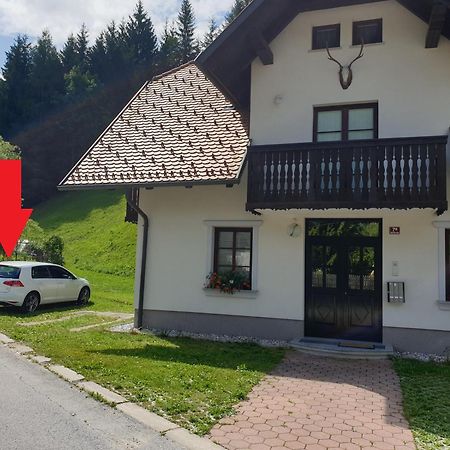 Apartman Irvin Кранська Гора Екстер'єр фото