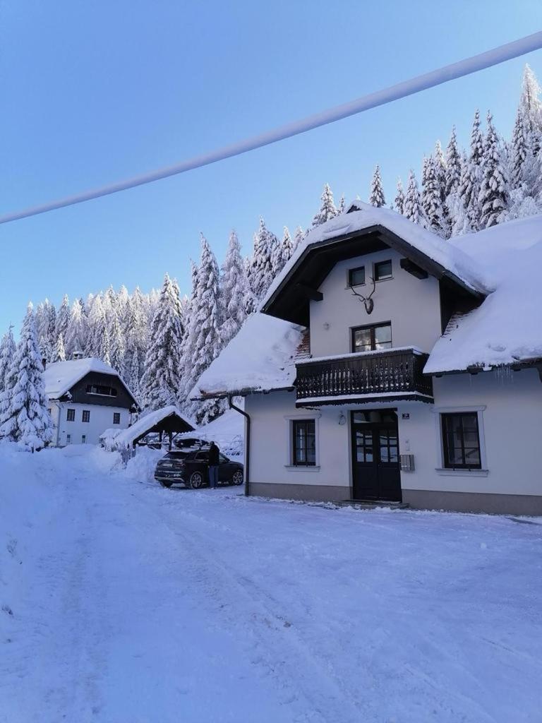 Apartman Irvin Кранська Гора Екстер'єр фото