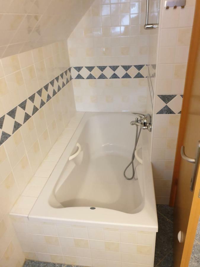 Apartman Irvin Кранська Гора Екстер'єр фото