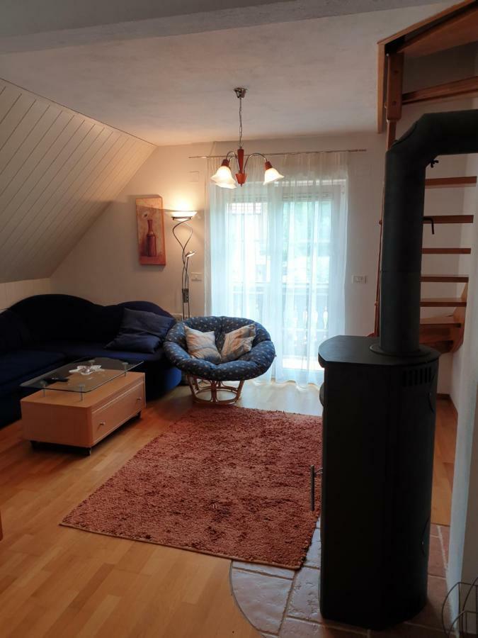 Apartman Irvin Кранська Гора Екстер'єр фото