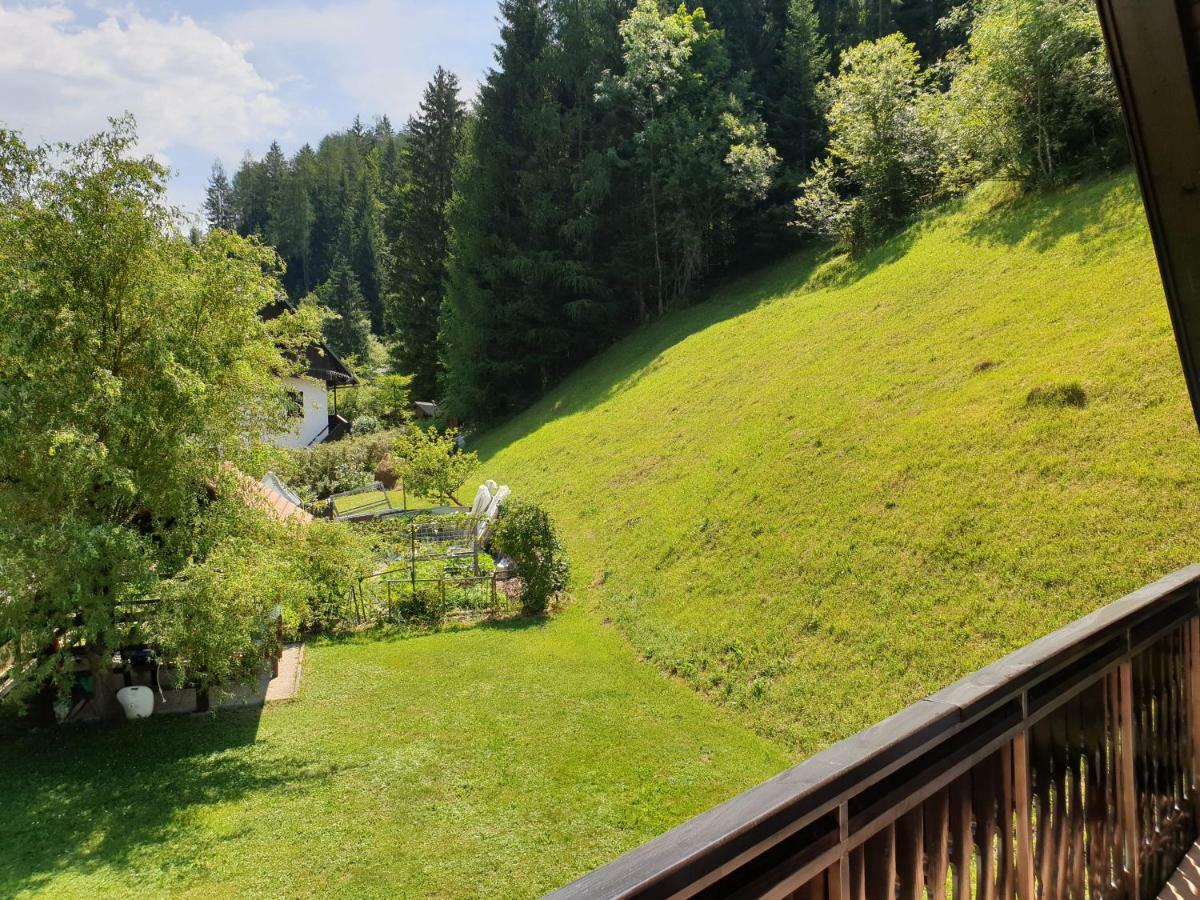 Apartman Irvin Кранська Гора Екстер'єр фото