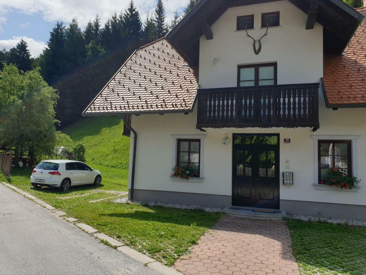Apartman Irvin Кранська Гора Екстер'єр фото