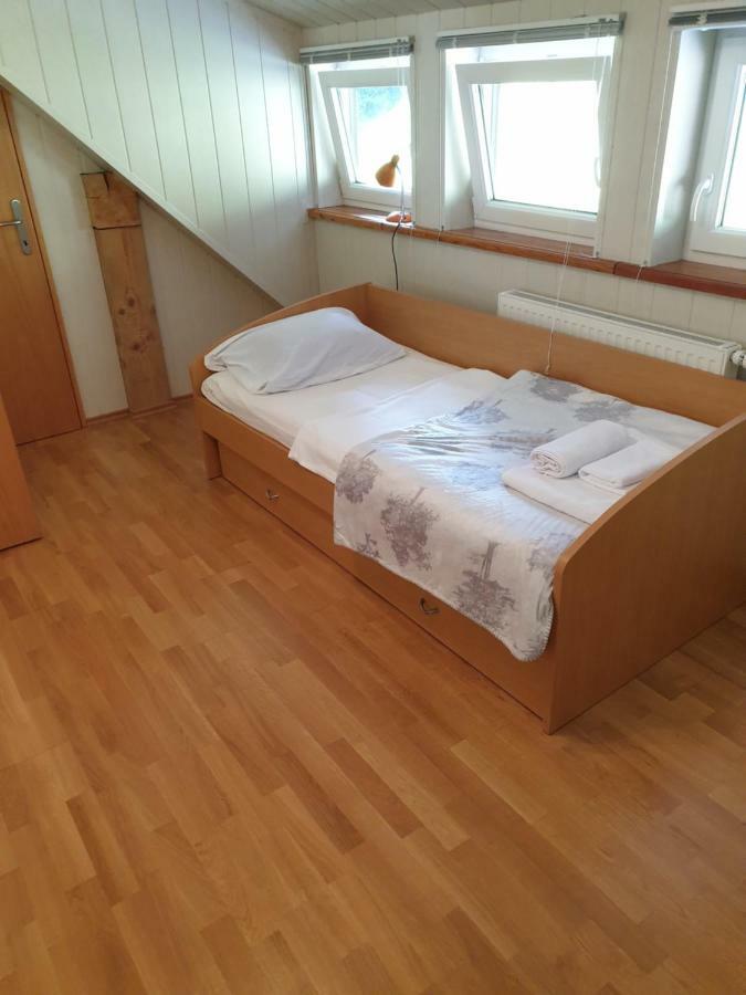 Apartman Irvin Кранська Гора Екстер'єр фото